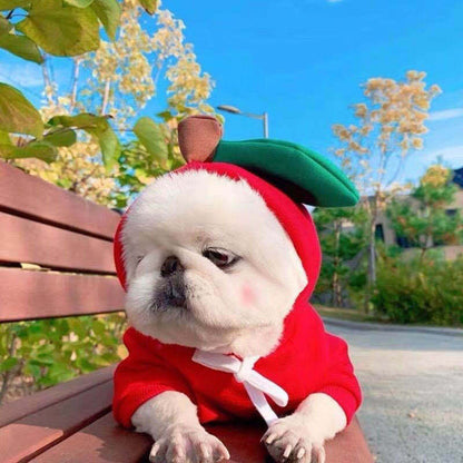 Cute Fruit Hoodie for Small Dogs – Warm Winter Fleece Pet Coat for Puppies & Cats