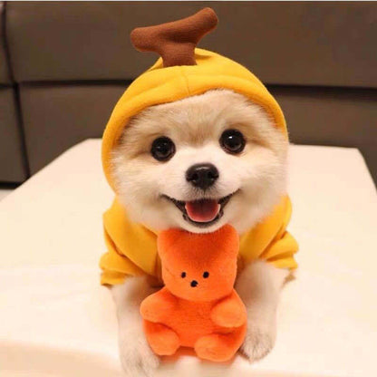 Cute Fruit Hoodie for Small Dogs – Warm Winter Fleece Pet Coat for Puppies & Cats