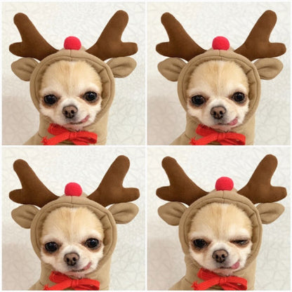 Cute Fruit Hoodie for Small Dogs – Warm Winter Fleece Pet Coat for Puppies & Cats