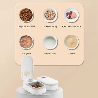 Smart Automatic Pet Food Dispenser for Cats & Dogs with Timer