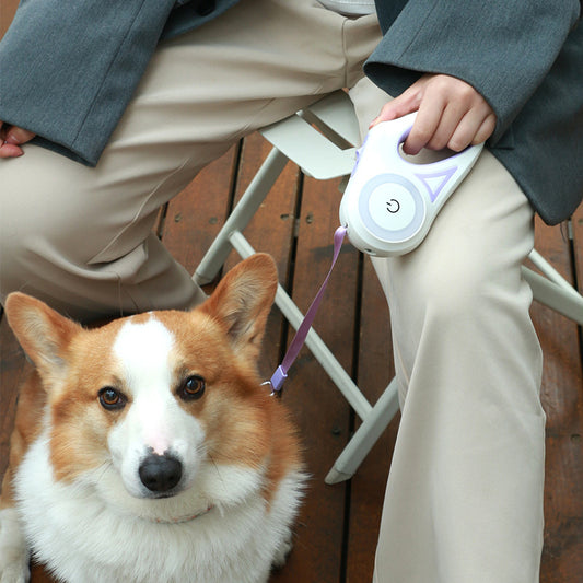 Automatic Retractable Dog Leash with Collar for Small & Medium Dogs