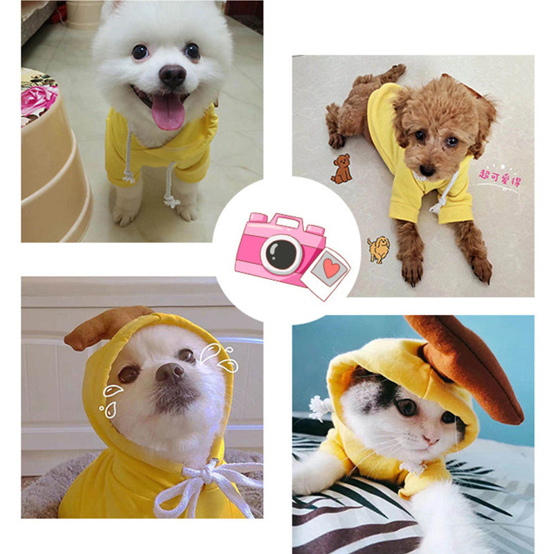 Cute Fruit Hoodie for Small Dogs – Warm Winter Fleece Pet Coat for Puppies & Cats